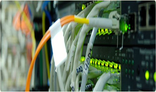 Server, Networking Support Services - Technical-Assistance